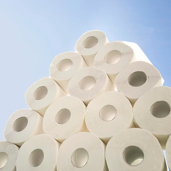 High-Quality Paper Rolls – Reliable & Durable for All Applications